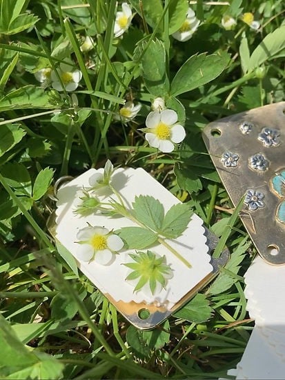 BloomPocket™ – Compact Flower Press Kit for Quick & Easy Petal Preservation