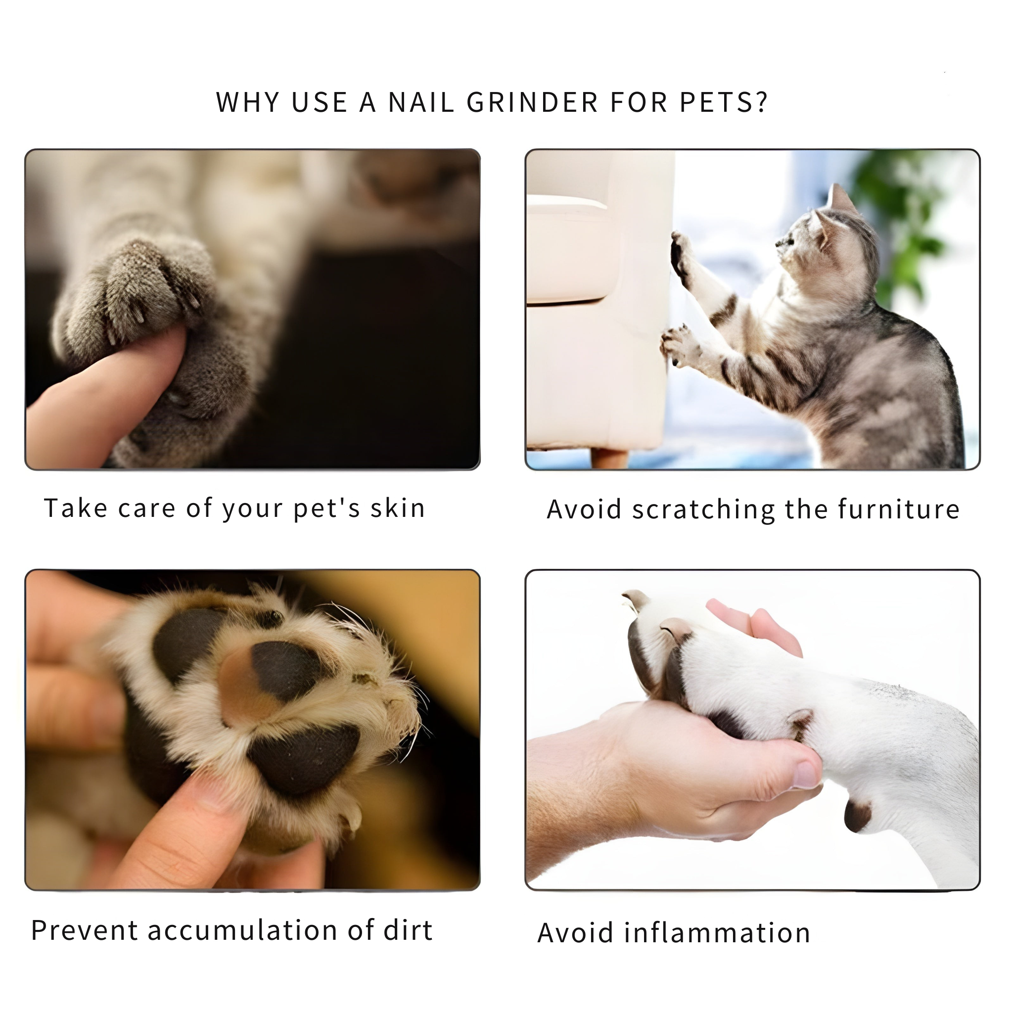 PawGroom™ - Electric Nail Grinder