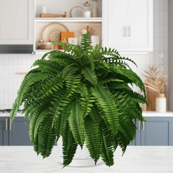 EverFern™ - Artificial Fern Plant