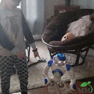 BrightBuddy™ – Smart, Fun & Interactive Learning Robot