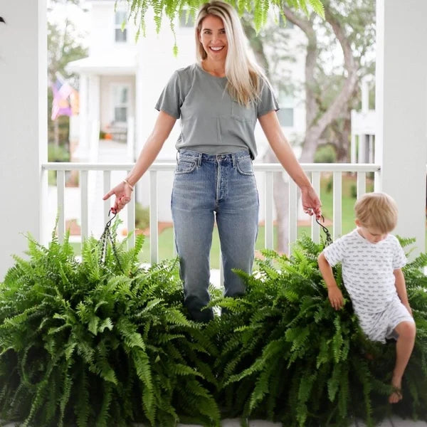 EverFern™ - Artificial Fern Plant