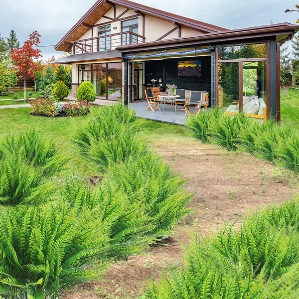 EverFern™ - Artificial Fern Plant