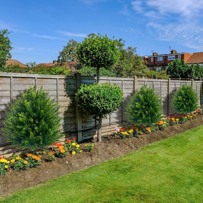 EverLush™ – Add Instant Elegance with Artificial Cedar Topiaries