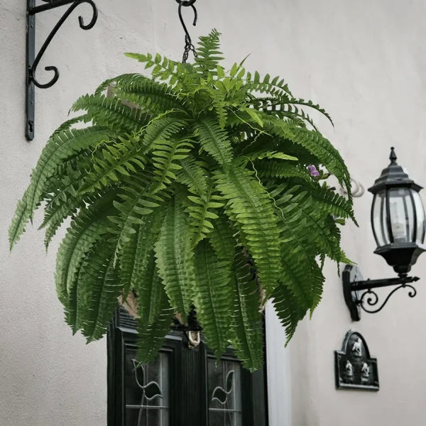 EverFern™ - Artificial Fern Plant