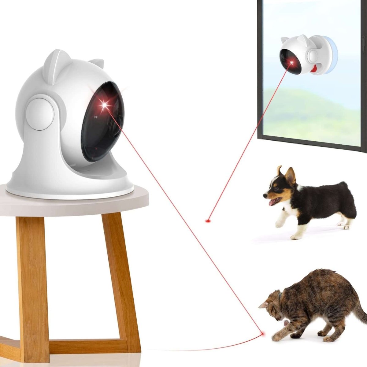 PawLaser™ – Entertain Your Cat Anytime with Automatic Laser Movement