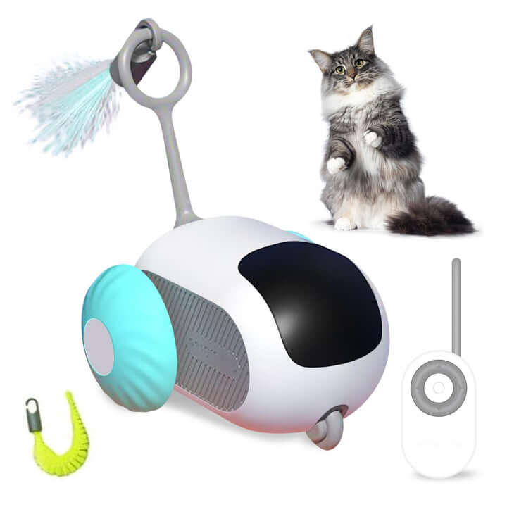 CatFon™ – The Perfect Interactive Toy for Healthier, Happier Cats