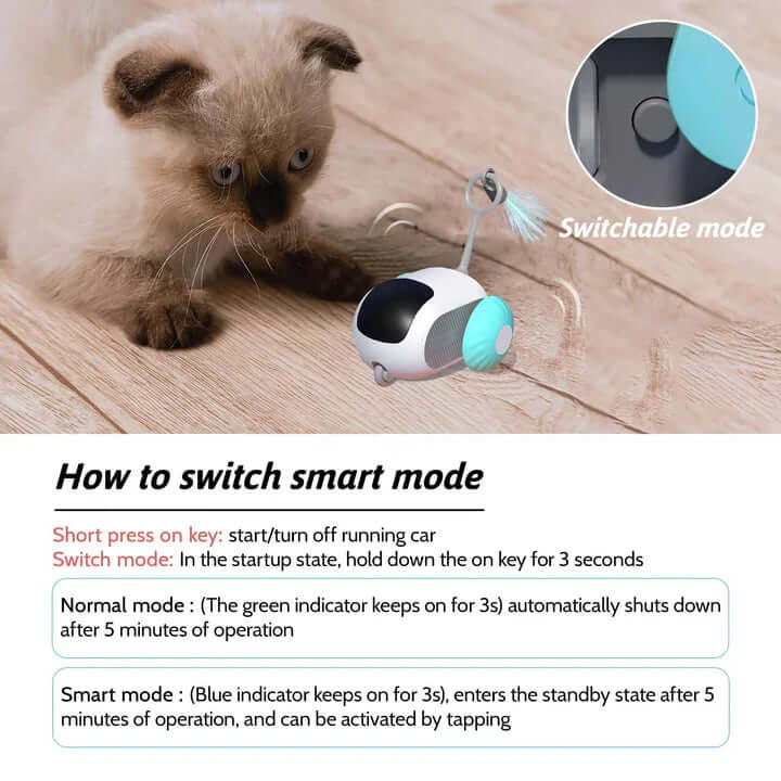 CatFon™ – The Perfect Interactive Toy for Healthier, Happier Cats