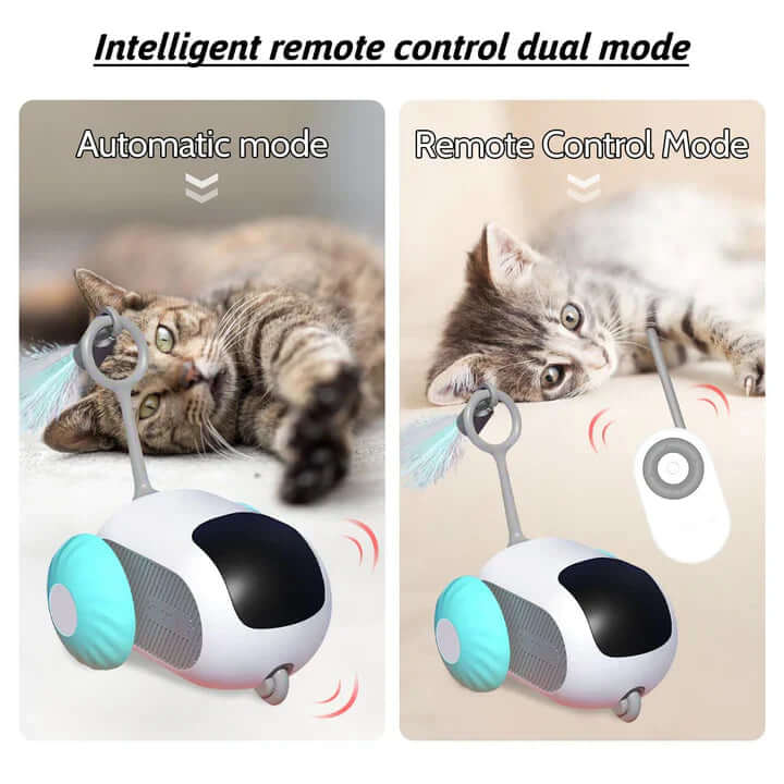 CatFon™ – The Perfect Interactive Toy for Healthier, Happier Cats