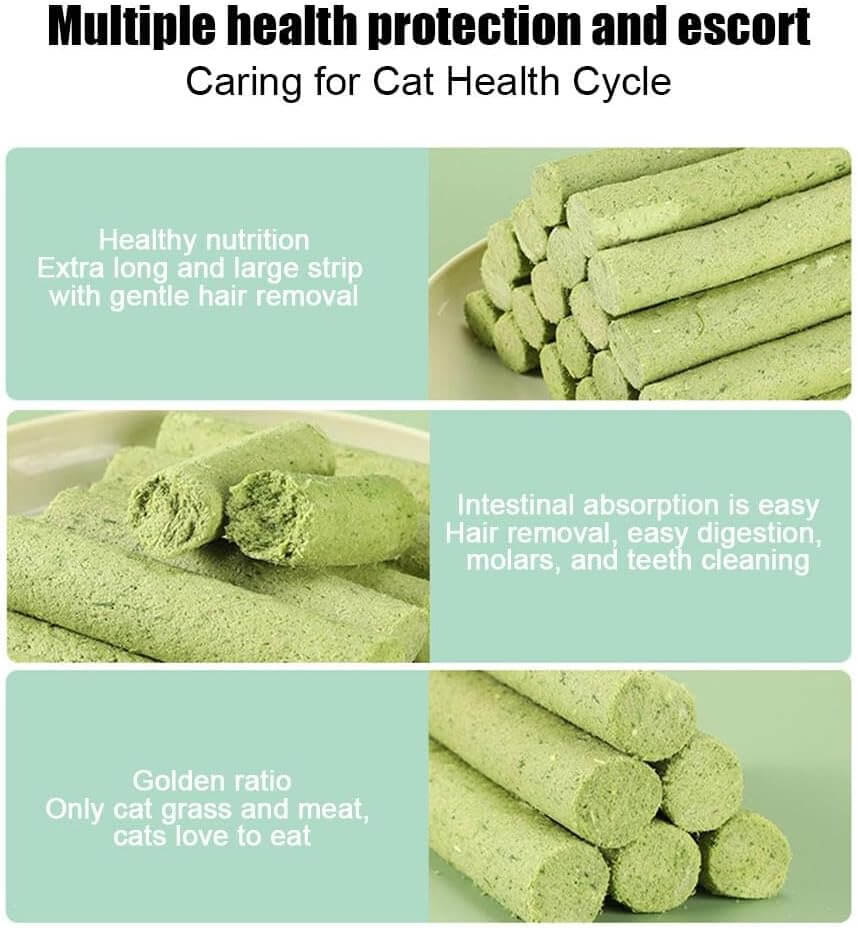 CatNutry™ – The Tasty Way to Support Your Cat’s Digestion & Wellness