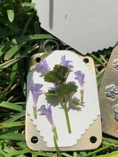 BloomPocket™ – Compact Flower Press Kit for Quick & Easy Petal Preservation