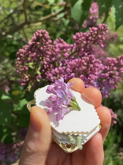 BloomPocket™ – Compact Flower Press Kit for Quick & Easy Petal Preservation