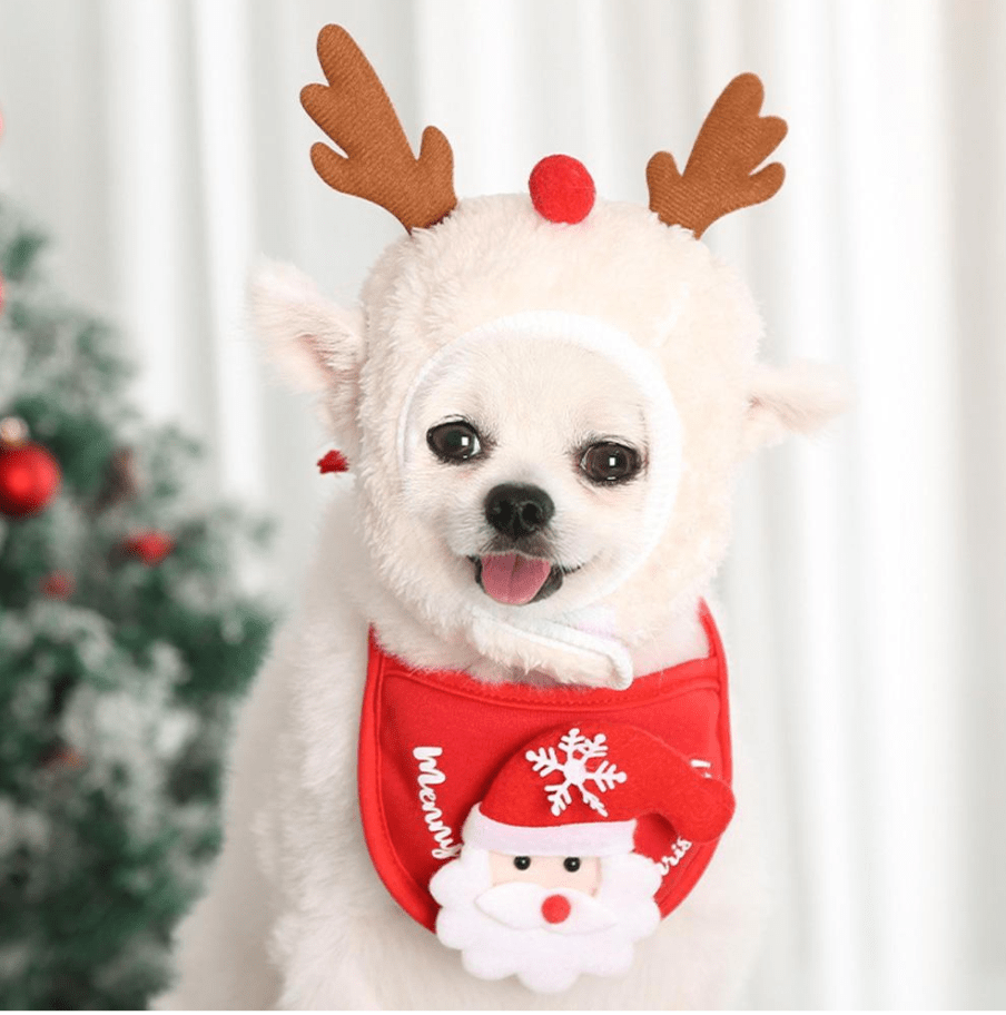 ReinPaw™ – Cozy Reindeer Bandana for Dogs & Cats