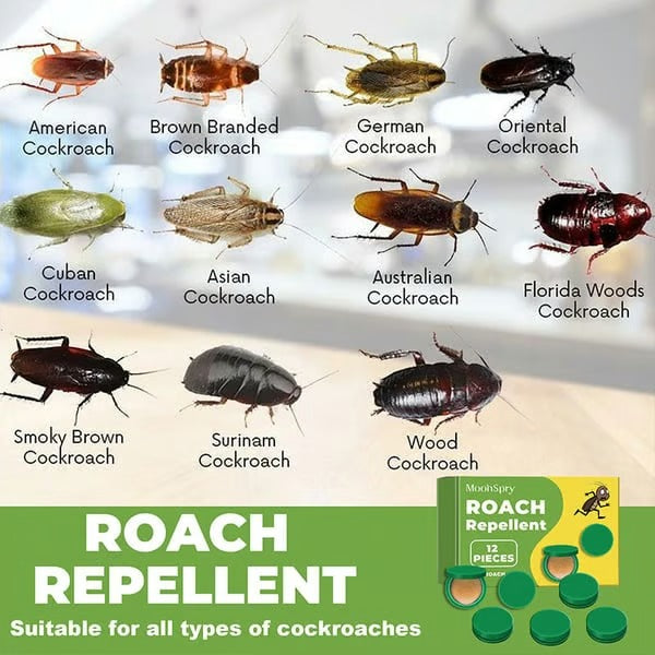 HeimFrei™ - Roach Bait Stations